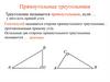 Прямоугольные треугольники