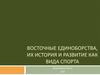 Восточные единоборства, их история и развитие как вида спорта