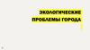 Экологические проблемы города