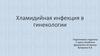 Хламидийная инфекция. Гинекология