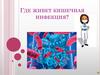 Кишечная инфекция