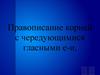 Правописание корней с чередующимися гласными е-и