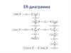 ER-диаграмма
