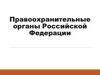 Правоохранительные органы Российской Федерации