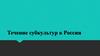 Течение субкультур в России
