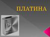 Платина (исп. Platina)