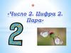 Число 2. Цифра 2. Пара
