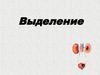 Выделение. Органы, осуществляющие выделение