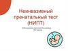 Неинвазивный пренатальный тест (НИПТ)