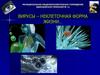 Вирусы – неклеточная форма жизни…