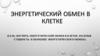 Энергетический обмен в клетке