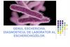 Genul Escherichia. Diagnosticul de laborator al escherichiozelor