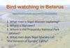 Bird watching in Belarus