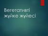 Вегетативті жүйке жүйесі
