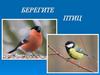 Берегите птиц