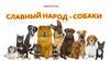 Славный народ - собаки