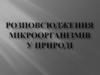 Росповсюдження мікроорганізмів у природі