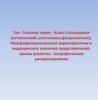 Тип плоские черви. Класс сосальщики