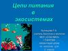 Цепи питания в экосистемах