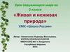 Урок окружающего мира во 2 классе. «Живая и неживая природа»