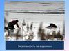 Безопасность на водоемах