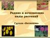 Редкие и исчезающие виды растений Группа «Ботаники»