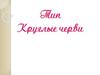 Тип Круглые черви