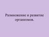 Размножение и развитие организмов