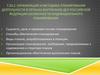 Организация и методика планирования деятельности в органах внутренних дел Российской федерации.особенности планирования