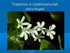 Гормоны и гормональная регуляция