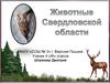 Животные Свердловской области