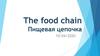 The food chain. Пищевая цепочка