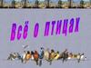 Птицы. Всё о птицах