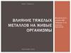 Влияние тяжелых металлов на живые организмы