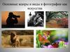 Основные жанры и виды в фотографии как искусства