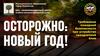 Правила пожарной безопасности в новогодние праздники