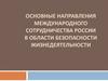 Основные направления международного сотрудничества России в области безопасности жизнедеятельности