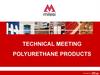 Technical meeting. Polyurethane products