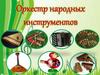 Оркестр народных инструментов