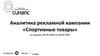 Аналитика рекламной кампании "Спортивные товары"