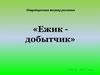 Нетрадиционная техника рисования «Ежик добытчик»