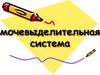 Мочевыделительная система