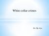 White collar crimes