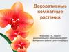 Декоративные растения