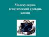 Молекулярно-генетический уровень жизни. Матричные процессы