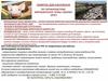 Памятка для населения по профилактике африканской чумы свиней