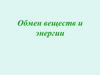 Обмен веществ и энергии