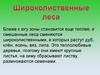 Широколиственные леса