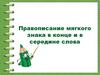 Правописание мягкого знака в конце и в середине слова