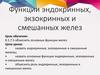 Функции эндокринных, экзокринных  желез